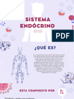 Sistema Endocrino