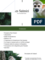 Les Saimiri Projet