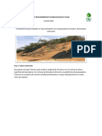 INFORME PROCEDIMIENTO ESTABILIZACION DE TALUD 