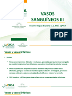 VASOS SANGUÍNEOS III (1)