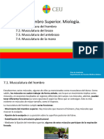 MMSS - Miología (I)