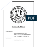 Mechanic Lab Report