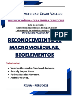 Semana 02 - Informe Biología. 