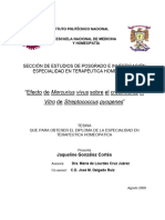 36-Tesina-Efecto Mercurius Vivus Sobre El Crecimiento in Vitro de Streptoccus - Inst - Polit.nac - de Medicina y Homeop-J25i0jw9