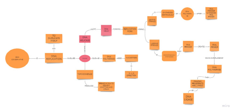 Dna Replication Concept Map | PDF