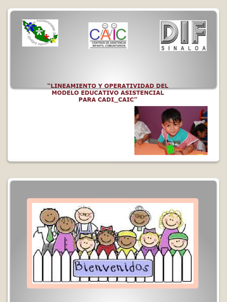 Lineamientos y Operatividad | PDF