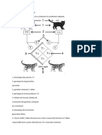 Exercices Supplementaires Monohybridisme 2020 6g