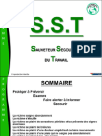 Formation Initiale SST 2008 01 25 Yg