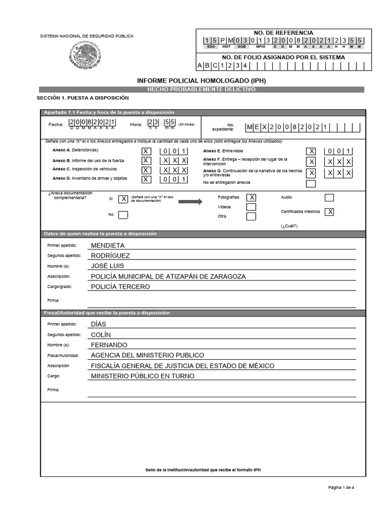 IPH DELITOS EDITABLE c | PDF