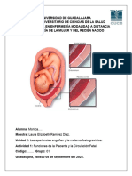ACT 1. Funciones de La Placenta y La Circulacion Fetal
