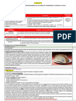2°activ 08-EdA 04-Indagamos Cyt-Enfermedades PDF