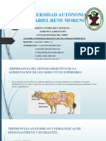 Anatomia y Fisiologia Digestiva de Los Animales Domesticos ......