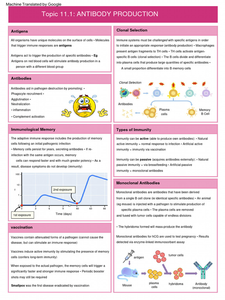 11.1 Antibody Production Biology Diagrams