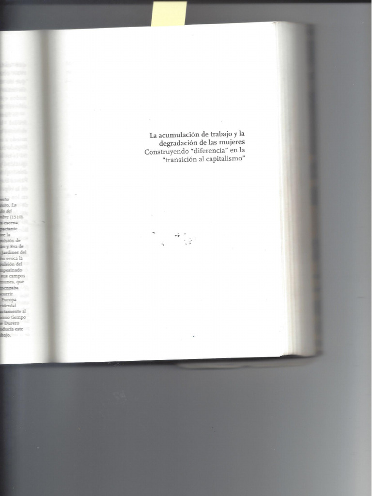 Federici El Calibán y La Bruja PDF