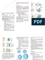 Apuntes Oftalmo-4