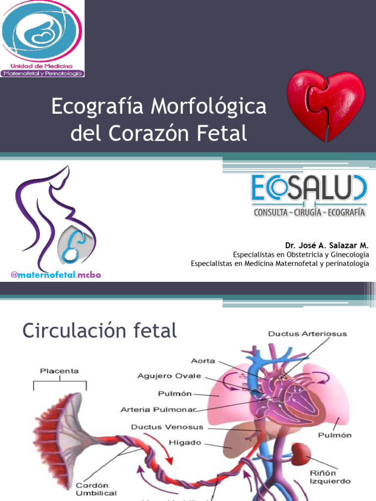 Clase Ecocardio Curso, PDF, Aorta