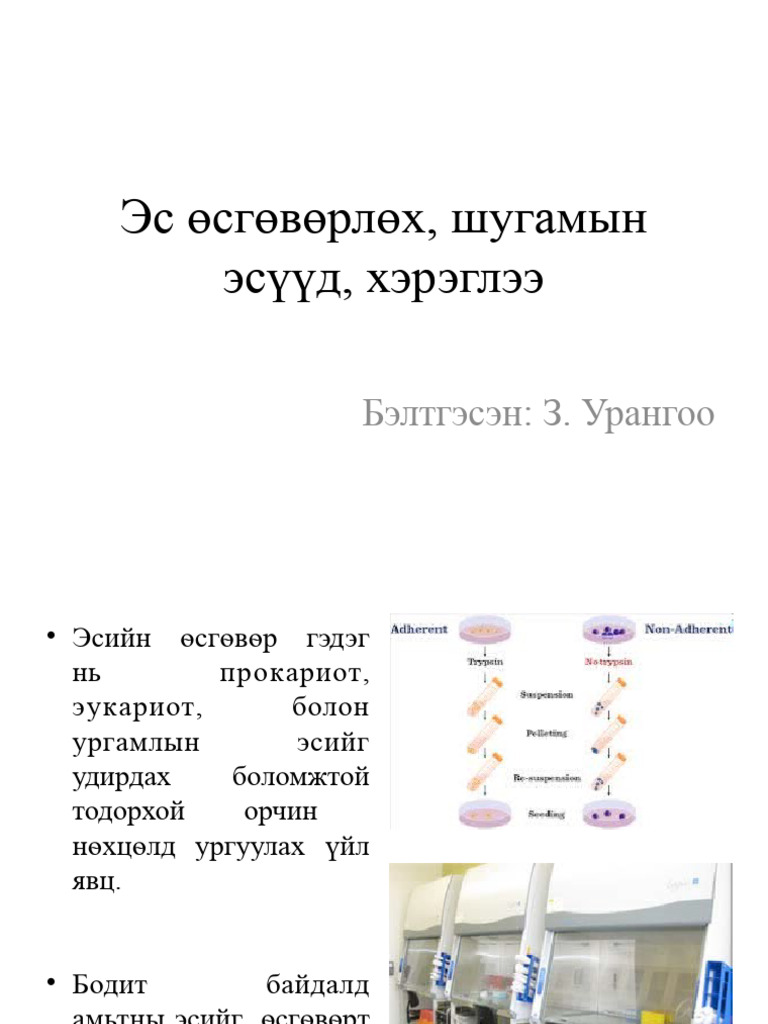 Эс Өсгөвөрлөх, Шугамын Эсүүд, Хэрэглээ | PDF