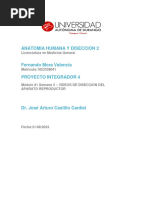Capas del escroto y su anatomía | PDF