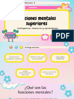 Funciones Mentales