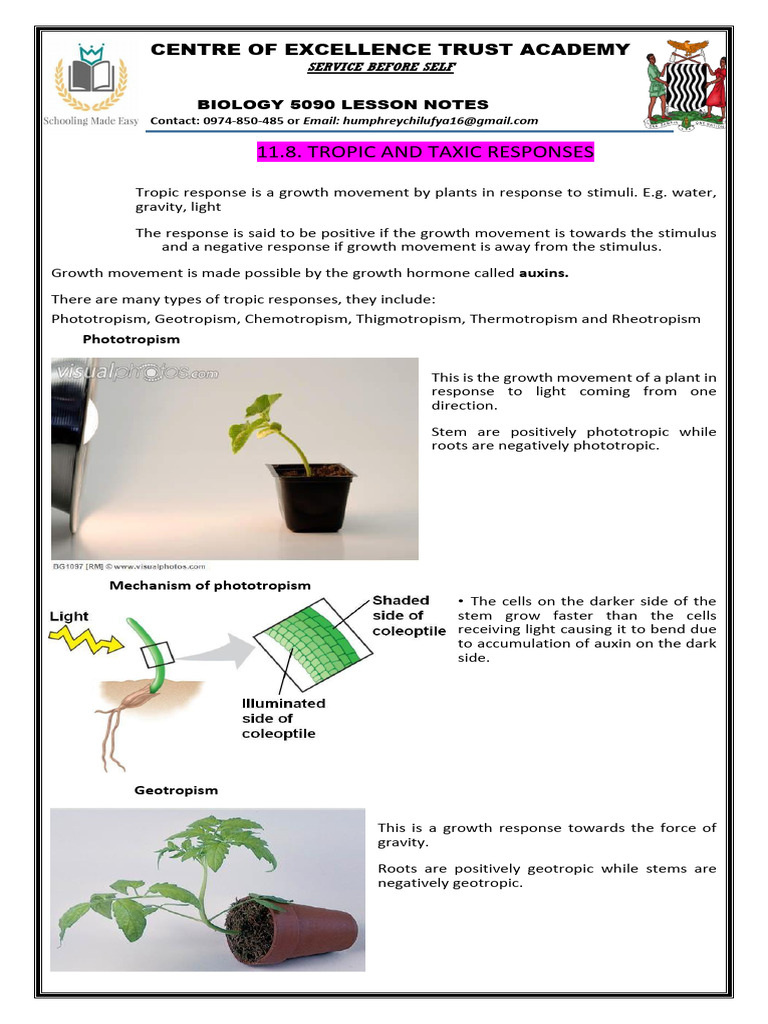 Tropic and Taxic Responses in Biology | PDF | Auxin | Botany