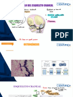 Histologia 03 Desarrollo+Del+Esqueleto+Craneal+