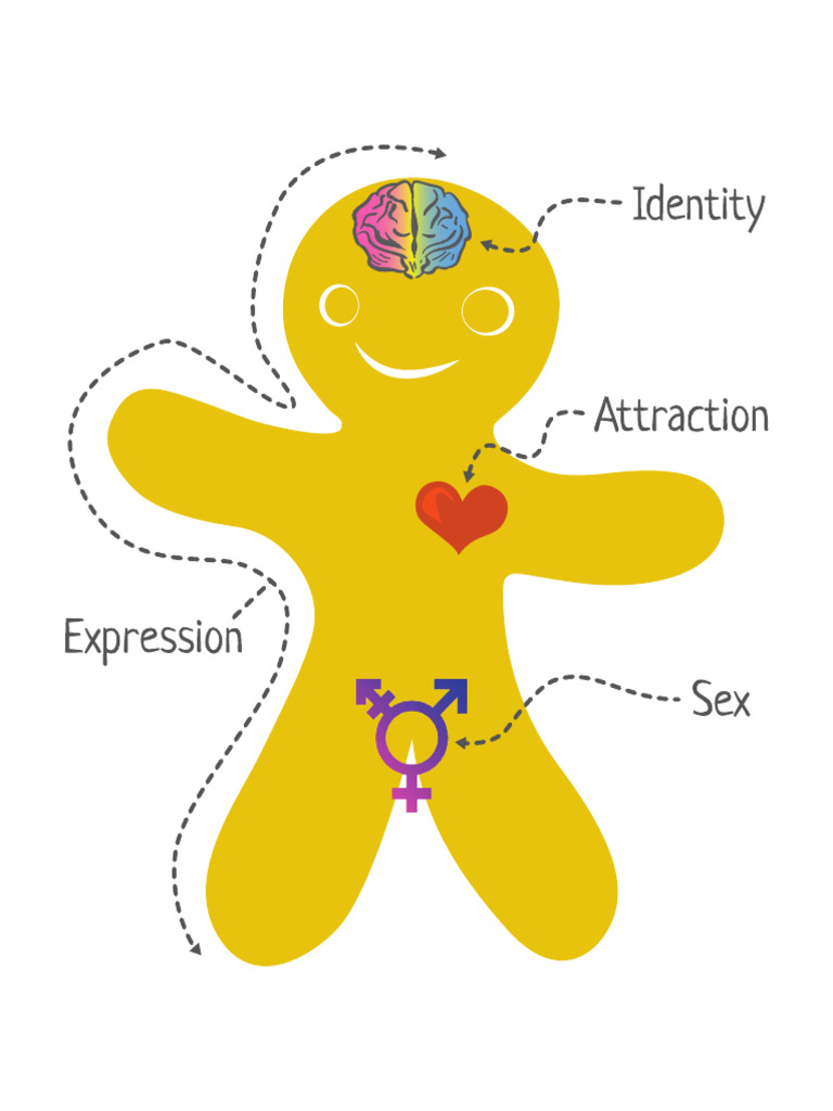 Genderbread Person v4 ALL PDF