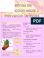 Teorías de Producción Vocal + Inervación Laríngea.