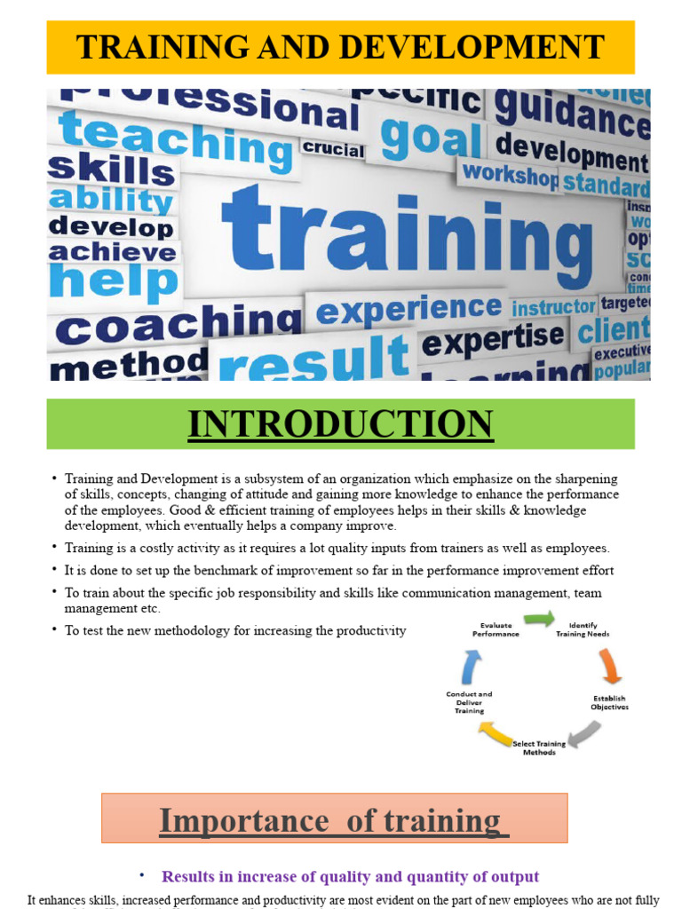 Training and Development PDF