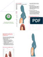 Leaflet KJDK Prognas