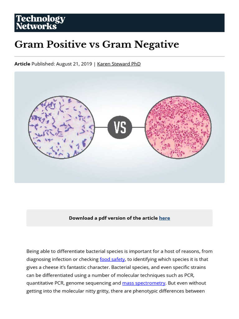 Gram Positive Vs Gram Negative | PDF | Gram Positive Bacteria | Bacteria