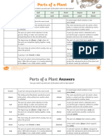 Parts of The Plant Worksheet