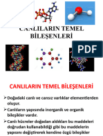 Canlilarin Temel Bi̇leşenleri̇