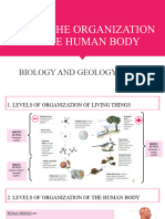 Unit 1. Levels of Organization of The Human Body