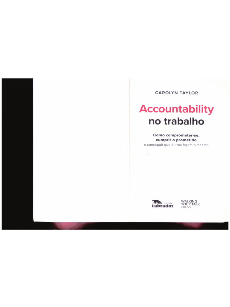 Accountability No Trabalho NV | PDF