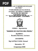 Download manual de cultivo frijol by Luciano Rosales Barrera SN67772279 doc pdf