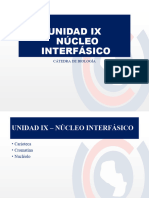 Unidad Ix - Núcleo Interfásico