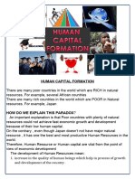 Human Capitsl Formation