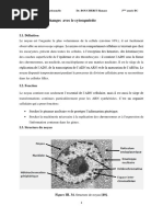 Cycle de L'uree... | PDF | Sciences physiques | Biologie