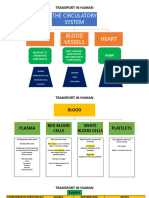 Transport in Human
