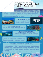 Infografía Algunas Razones para Cuidar Los Océanos Día Mundial de Los Océanos Ilustrado A