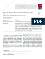 Mechanisms of Working Memory Training