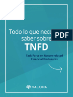 Valora Consultores - TNFD