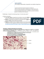 Activité N°2 Microbiote 2022 2023