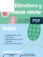 Estructura y Función