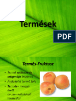 Termések v2