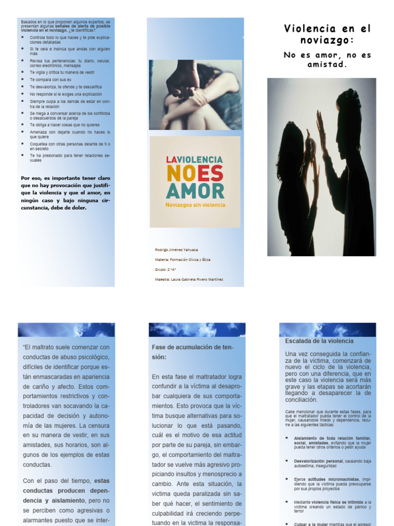Violencia en el Noviazgo: Señales y Consecuencias | PDF | Violencia ...
