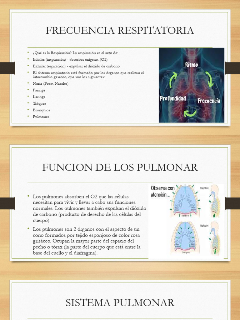 Frecuencia Resp | PDF | Estudios de idiomas extranjeros | Ciencia y ...