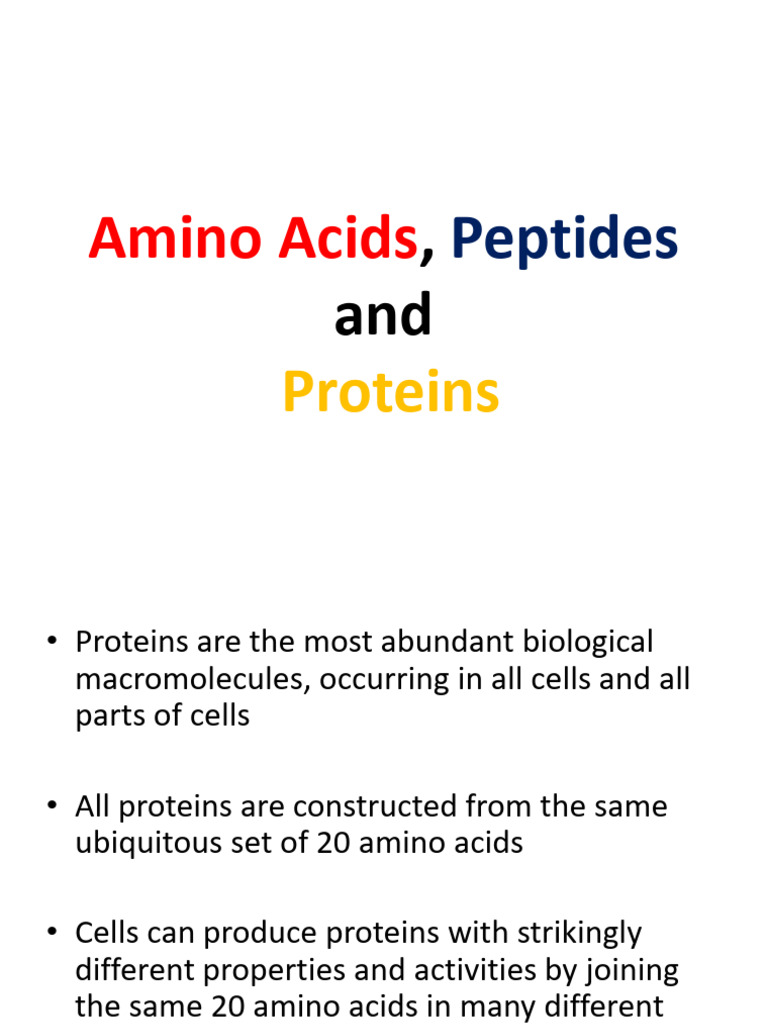 Understanding Amino Acids and Proteins | PDF | Amino Acid | Beta Sheet