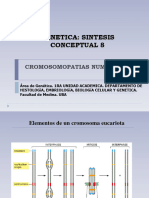 Sc8 Cromosomopatías Numericas 2021