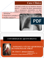 Afecciones de Torax y Trauma de Torax
